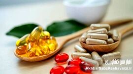هشدار درباره کمبود ویتامین بدن در روزهای بحران؛ چه کسانی باید مکمل مصرف کنند؟