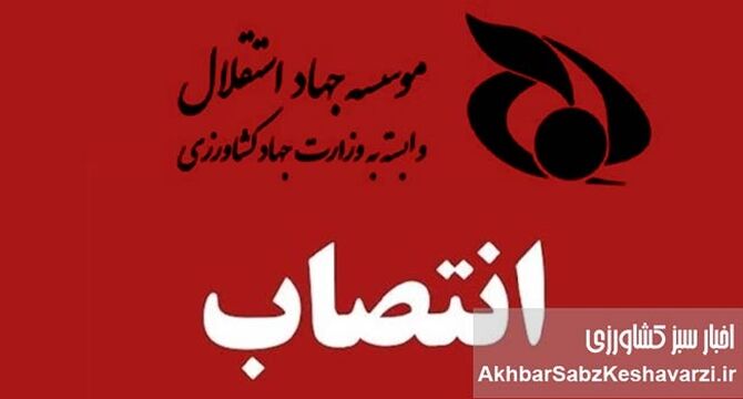  ورود محکومان اقتصادی از صندوق بازنشستگی و تسخیر مؤسسه جهاد استقلال

