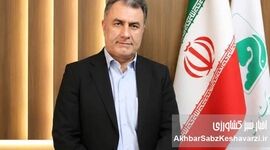  قائم‌مقام صندوق بیمه کشاورزی: از لحظه تصمیم‌گیری برای کشت باید در کنار کشاورز باشیم