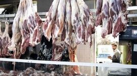 توزیع گوشت‌های آلوده در ملایر/ ۶ متهم دستگیر شدند

