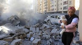 نجات حیوانات خانگی در حملات هوایی به لبنان+ ویدئو

