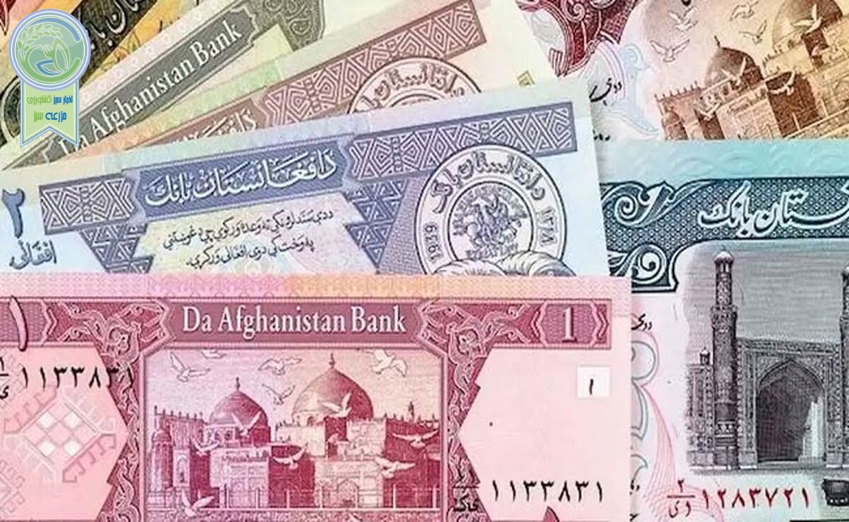 قیمت افغانی به تومان، امروز ۷ خرداد ۱۴۰۳

