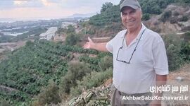 تراس‌های سبز آلانیا؛ مهندسی هم‌زمان آب، خاک، باغبانی و کشاورزی در دامنه‌های شیب‌دار+ویدئو