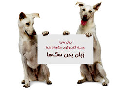 چگونه زبان بدن سگ‌ را بفهمیم؟