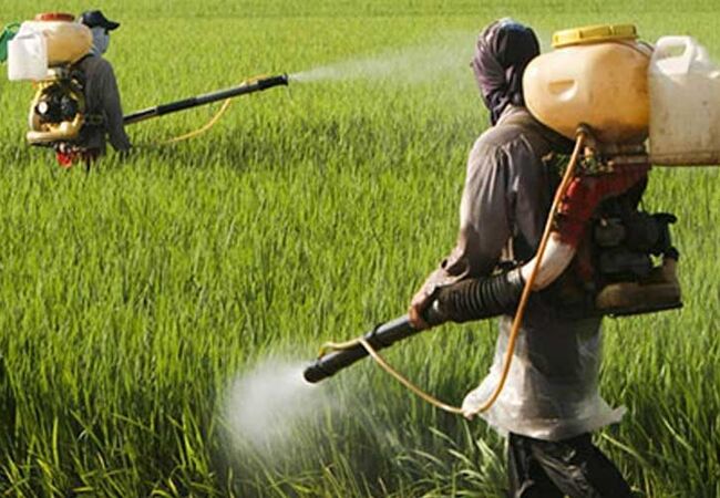 راهنمای ایمنی سمپاشی: نکات حیاتی که هر باغبان باید برای حفظ سلامت خود بداند
