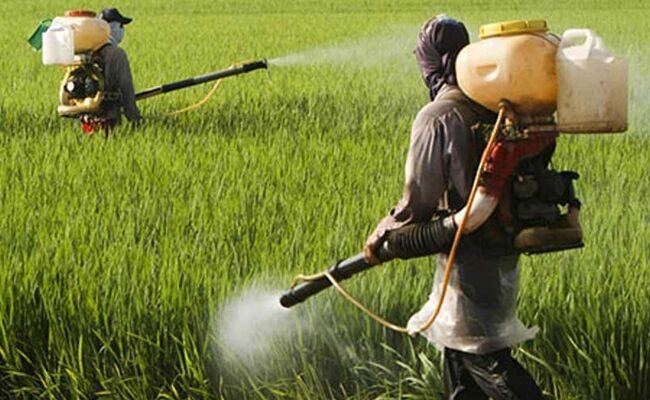 راهنمای ایمنی سمپاشی: نکات حیاتی که هر باغبان باید برای حفظ سلامت خود بداند