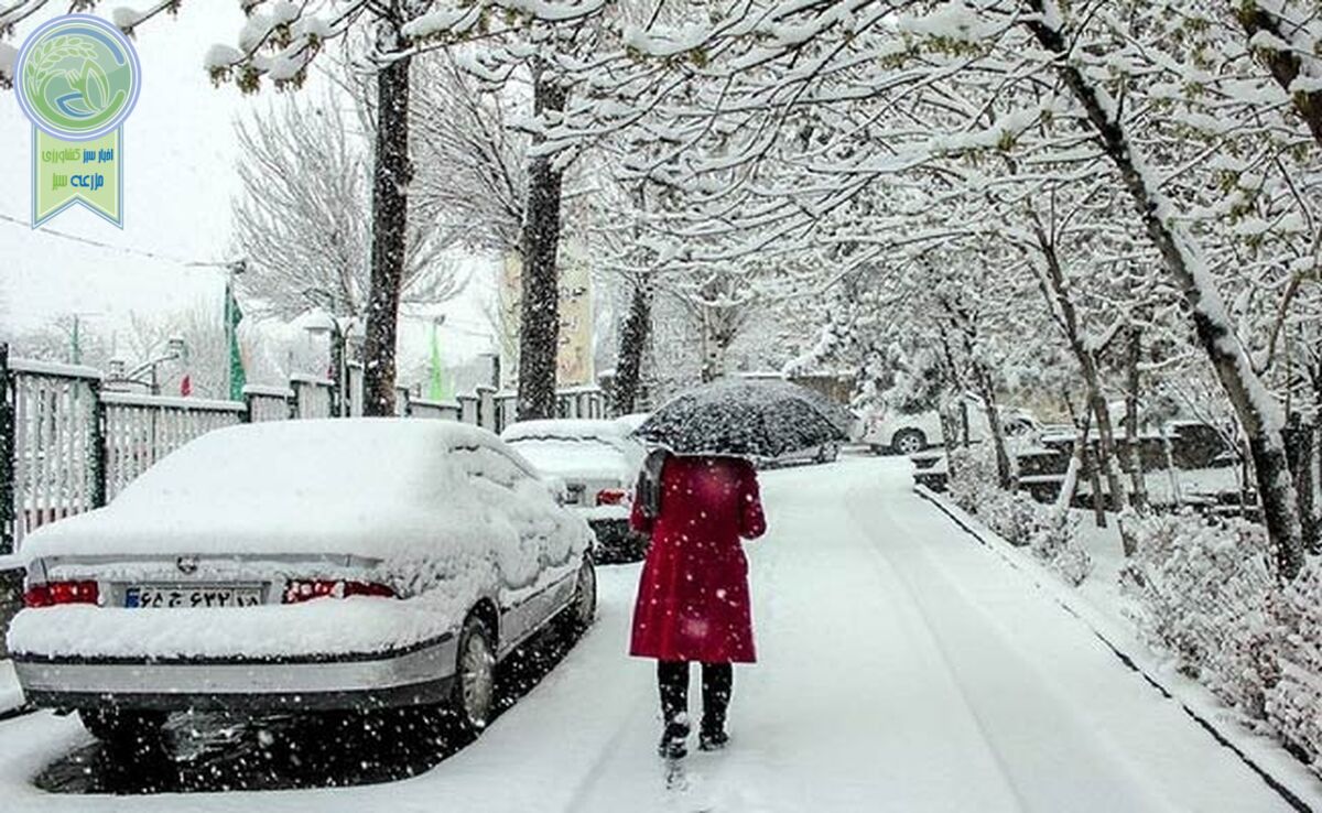 هشدار به تهرانی‌ها/ یخبندان و کولاک در راه است!


