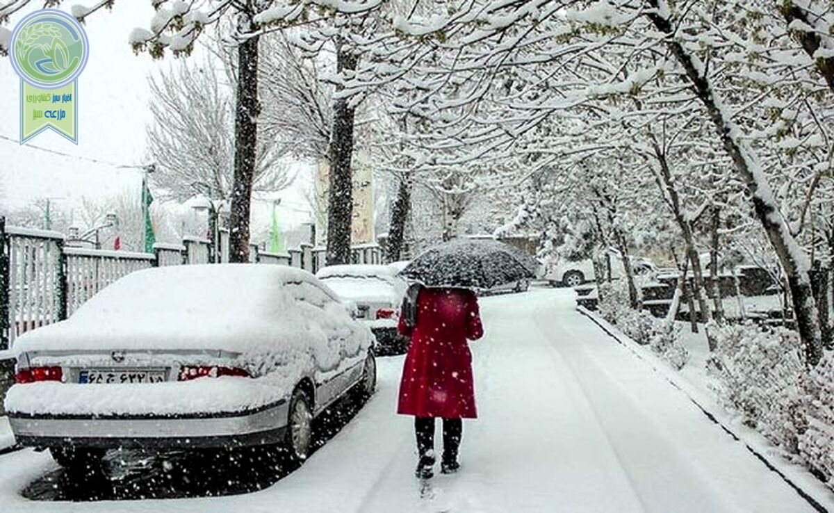 هشدار به تهرانی‌ها/ یخبندان و کولاک در راه است!


