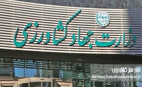 نامه به معاون پزشکیان؛ مطالبه فوری برای ترمیم حقوق جهاد کشاورزی