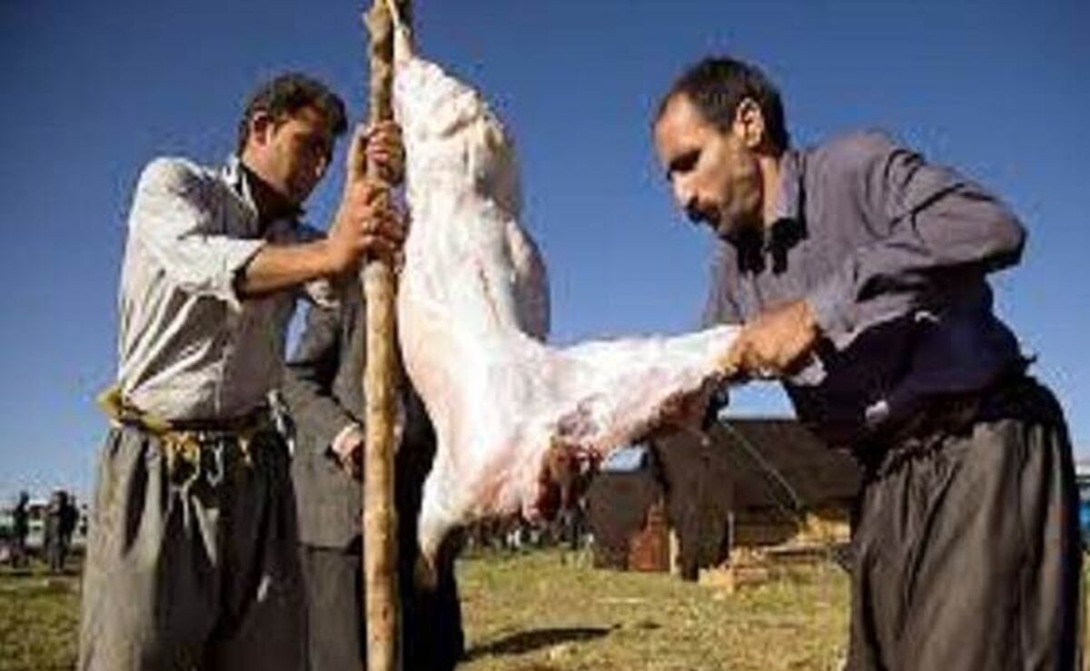 ثبت گوشت تولیدی عشایر به عنوان گوشت سالم

