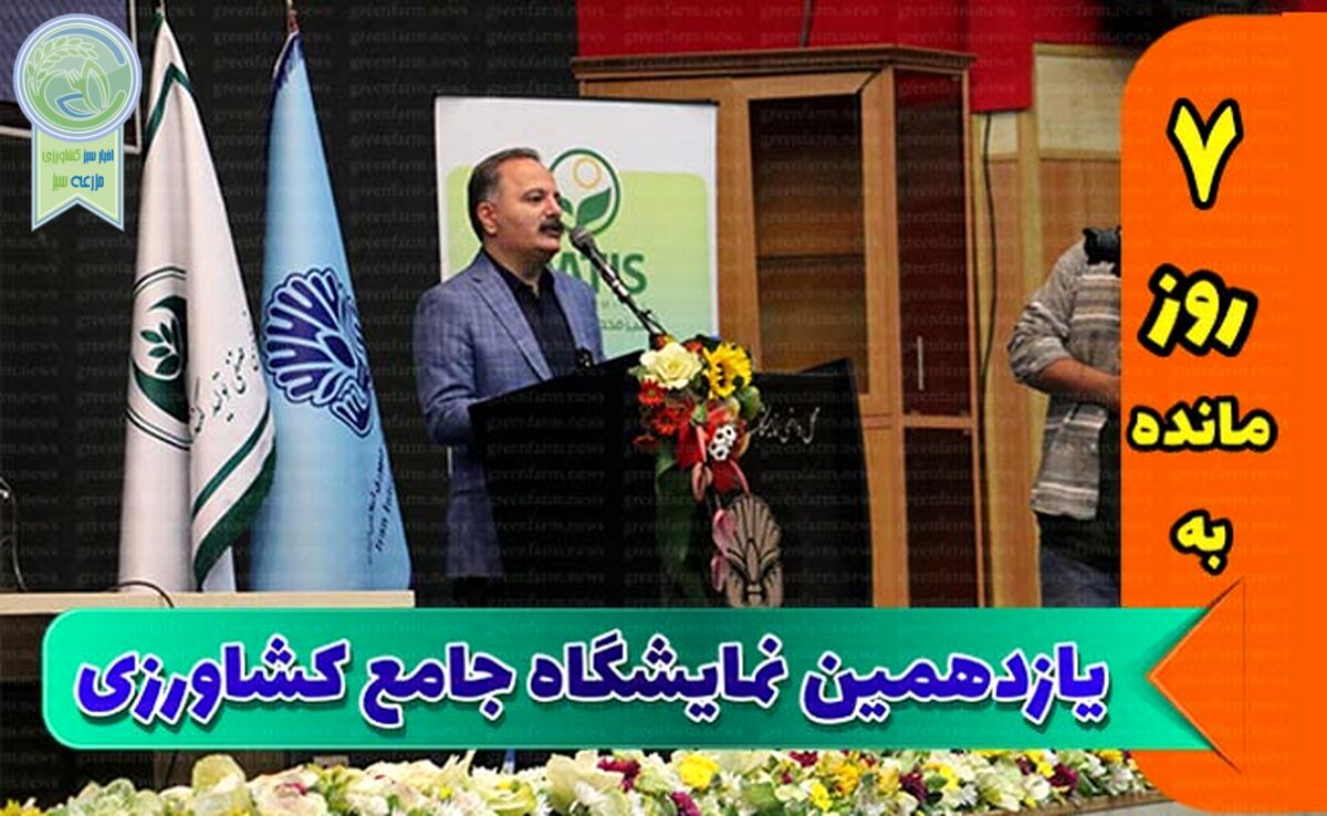 بحران تخصیص ارز، بزرگترین مانع تولیدکنندگان است+ ویدئو

