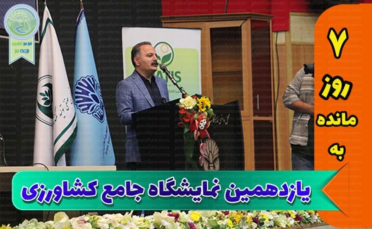 بحران تخصیص ارز، بزرگترین مانع تولیدکنندگان است+ ویدئو

