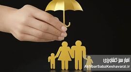 اقتصاد مهربان؛ چرا سرمایه‌گذاری بر کودک، سودآورترین معامله ملی در روزهای سخت است؟