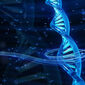 کایمریسم؛ پدیده نادر وجود دو مجموعه DNA در یک بدن