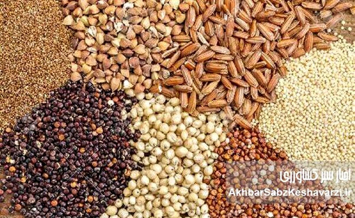 گروه مدلل در مسیر تهدید امنیت غذایی
