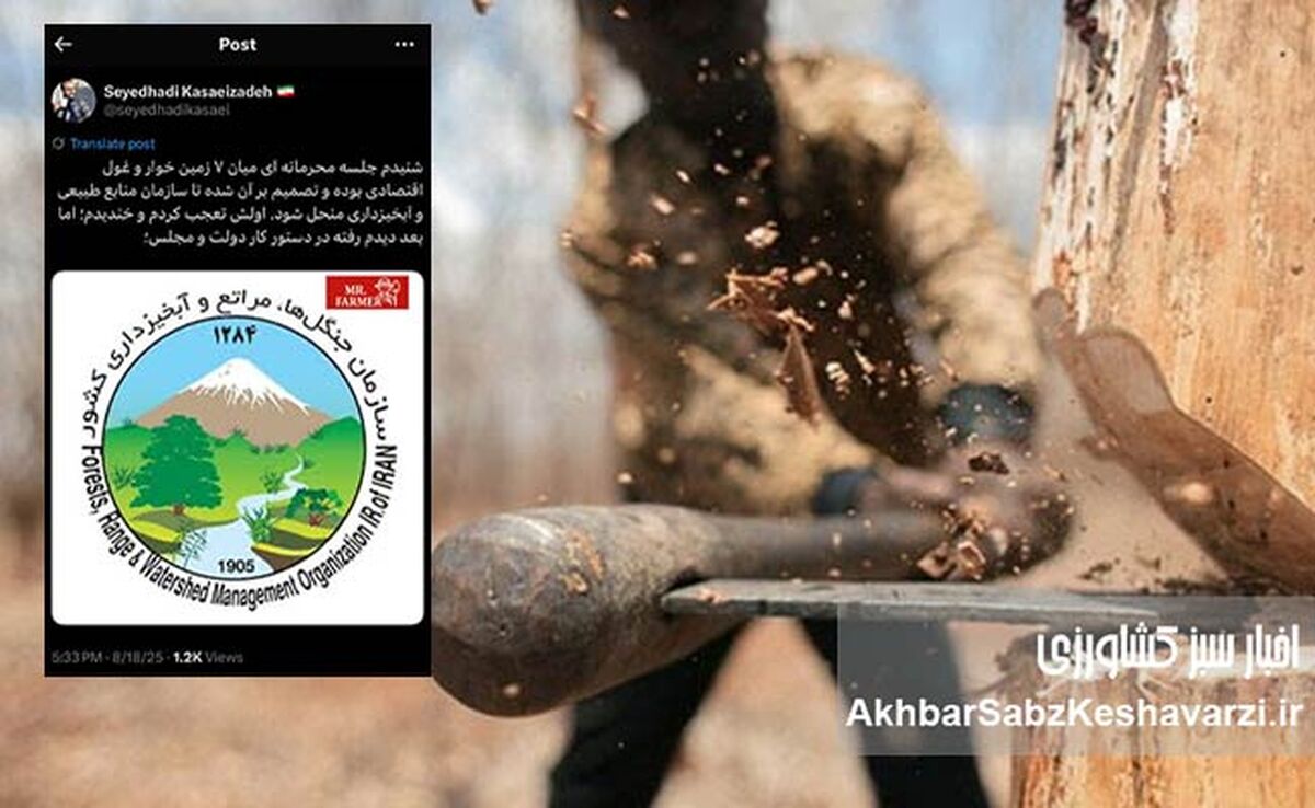 توئیت نگران کننده کسایی‌زاده و لابی 7 زمین‌خوار درباره انحلال سازمان منابع طبیعی