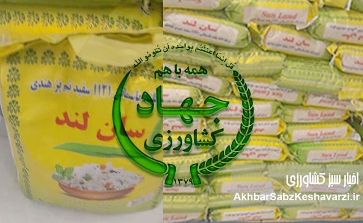 فساد برنج ۱۱۲۱: مینی دبش ۱۵ هزار میلیارد تومانی در وزرات کشاورزی دولت چهاردهم!