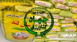 مدیر محکوم، حکم قطعی، اما همچنان در راس