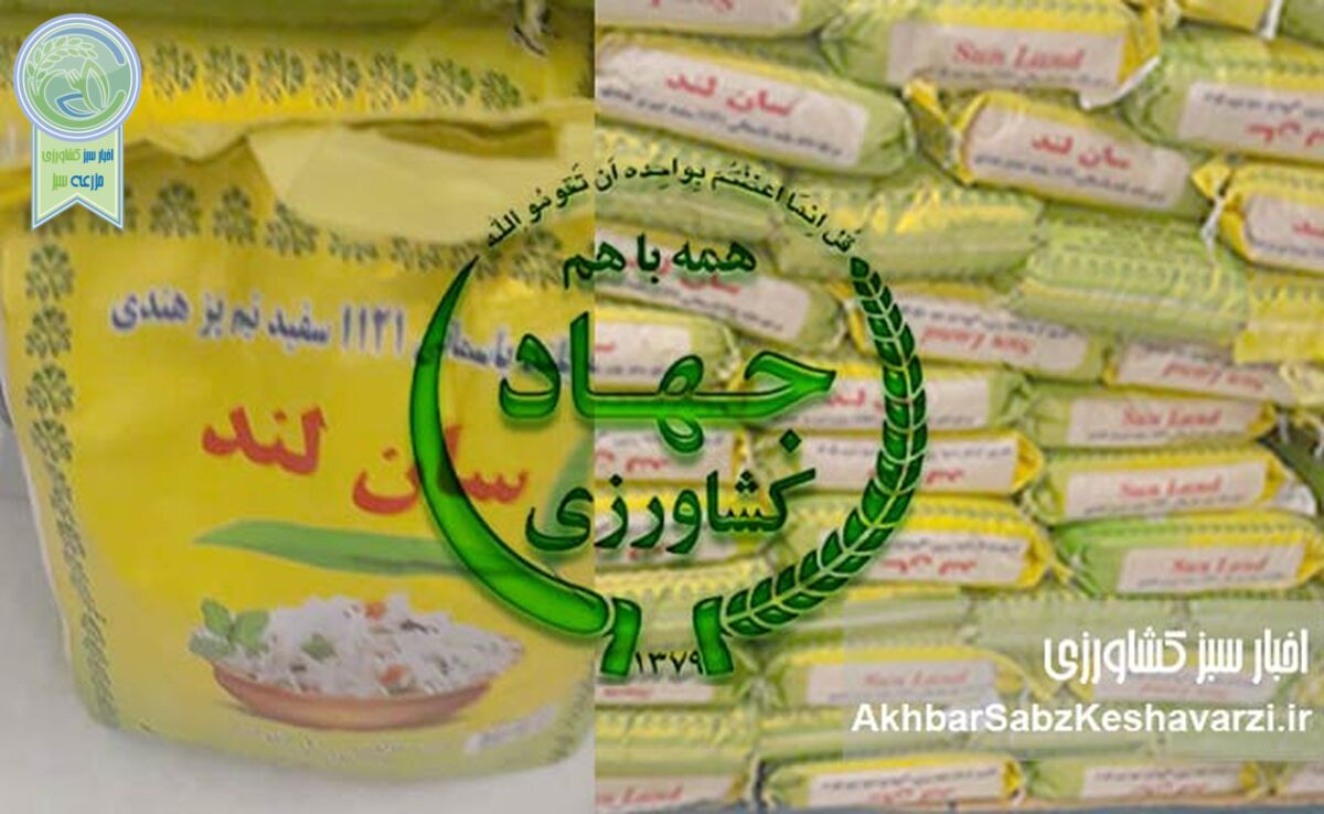 مدیر محکوم، حکم قطعی، اما همچنان در راس
