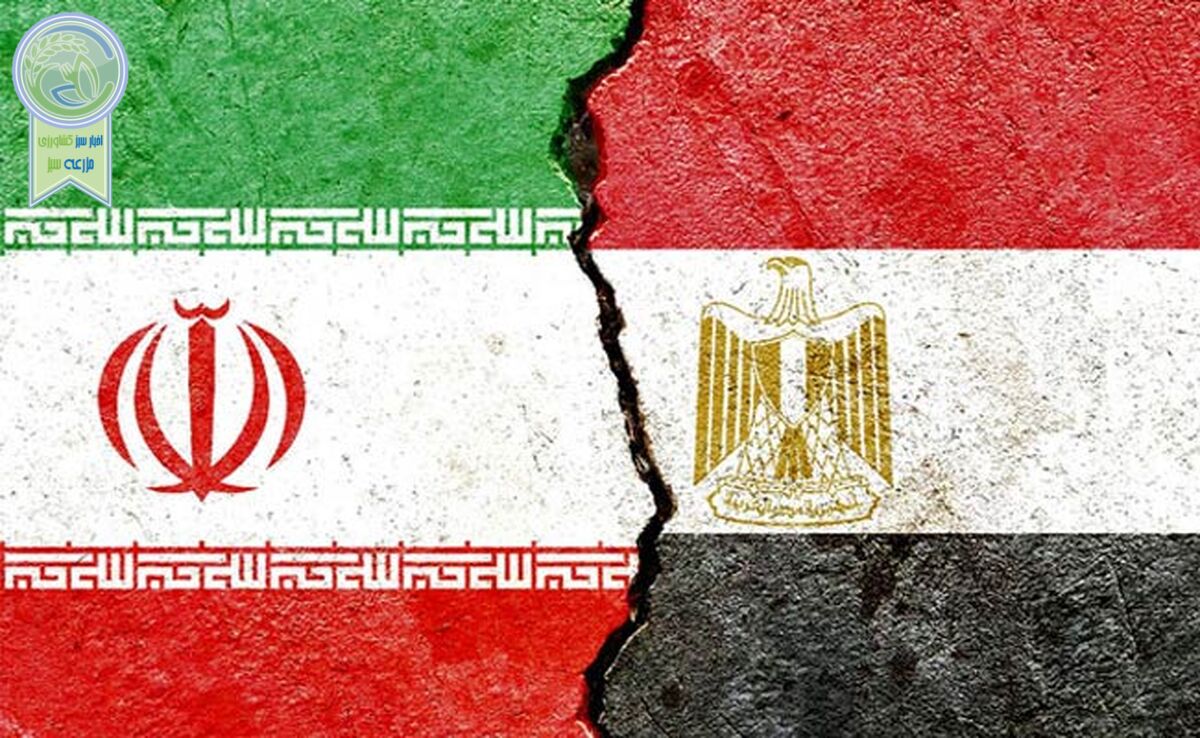 تهران و قاهره روی ریل توسعه روابط


