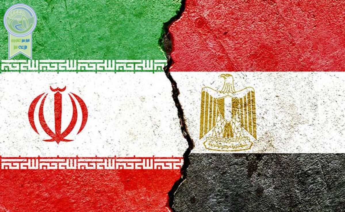 تهران و قاهره روی ریل توسعه روابط

