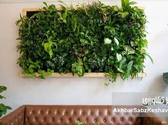 تزیین خانه با گیاهان طبیعی  