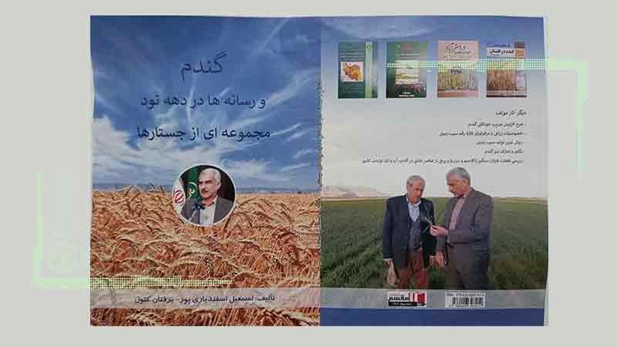 گندم و رسانه‌ها در دهه 90

