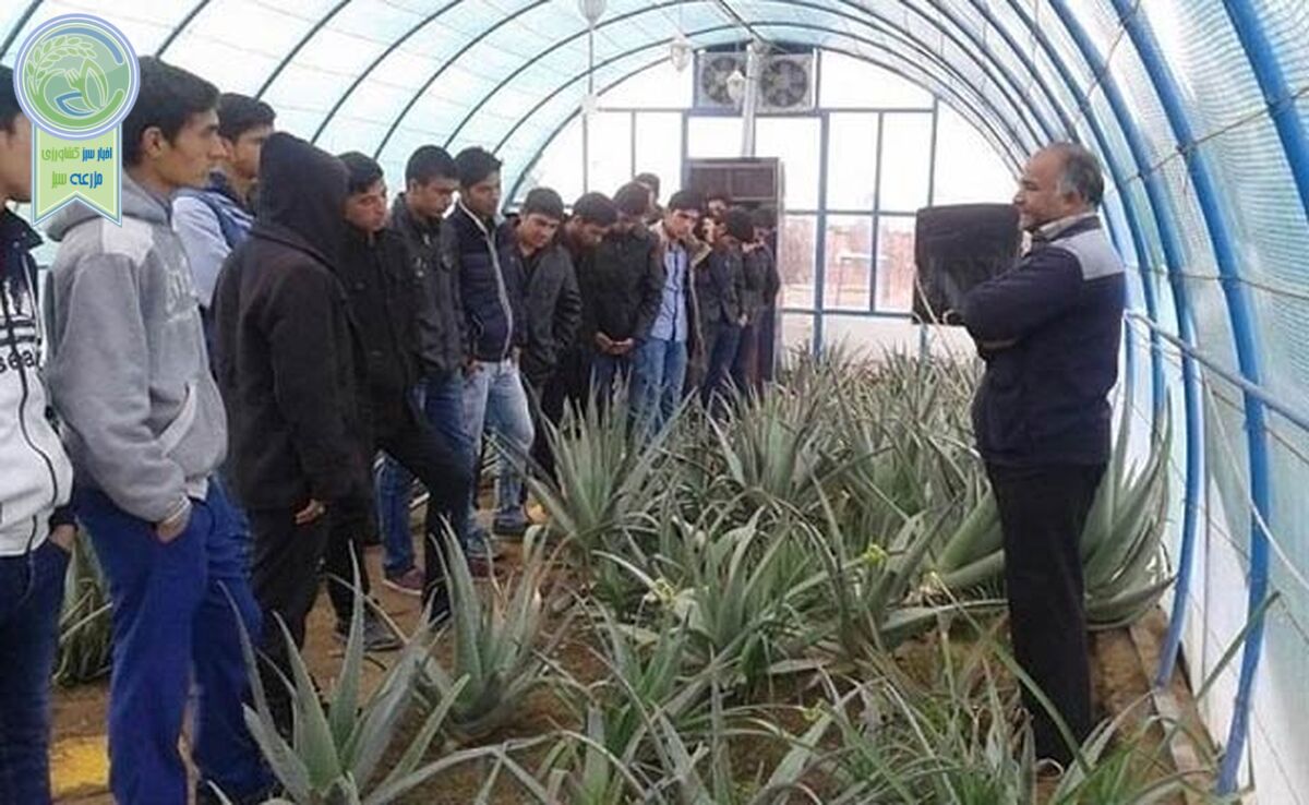 روزی که معلمان کشاورزی فراموش شدند

