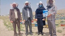 زنبوردار نهاوندی رکوددار تولید عسل+ ویدئو

