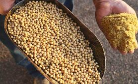 قیمت روز نهاده های دامی و کشاورزی ۹ مرداد ۱۴۰۳+ جدول

