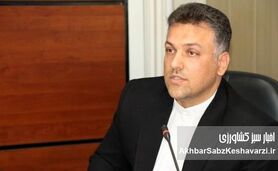 رئیس اتاق اصناف کشاورزی ایران: برق چاه‌های کشاورزی را قطع می‌کنند چون ارزان‌تر است