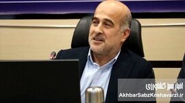 شیلات ایران؛ محوریت دریامحور و ورود بخش خصوصی به نقشه راه جدید