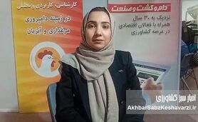 نقشه جدید ایران و افغانستان برای کشاورزی؛ از صادرات تا کشت قراردادی+ویدئو