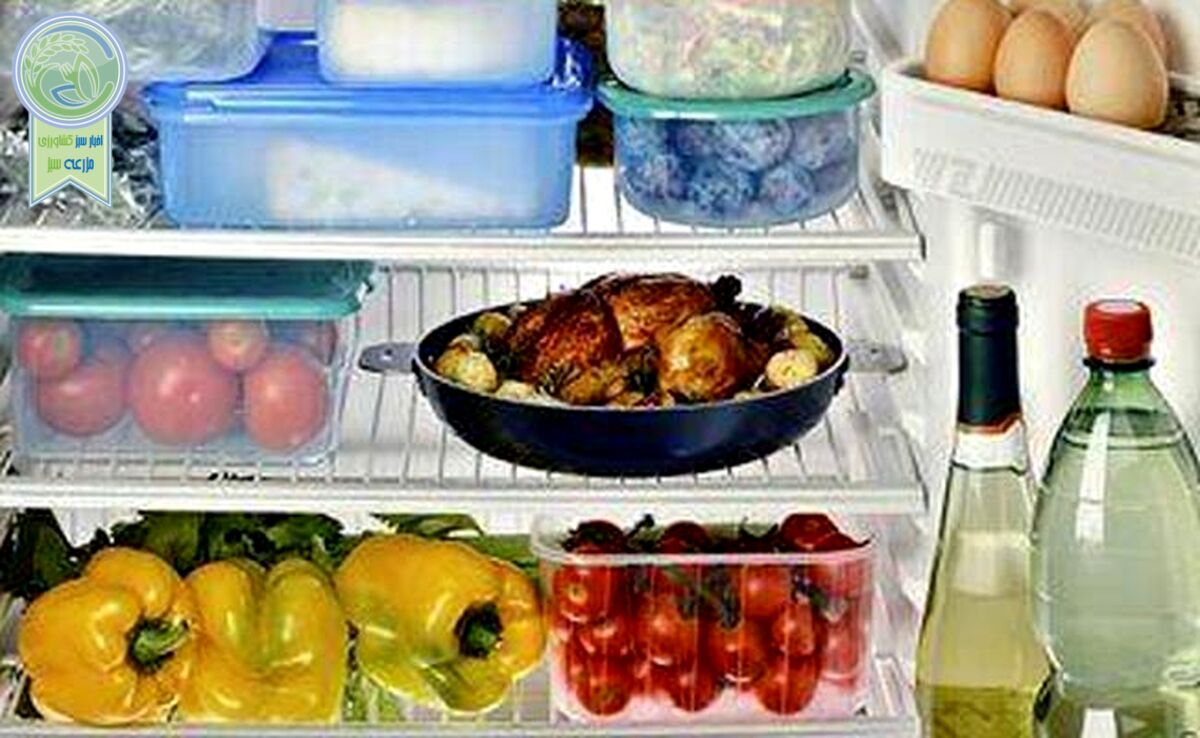 6 غذای پرمصرفی که به هیچ وجه نباید دوباره گرم کرد+ویدئو


