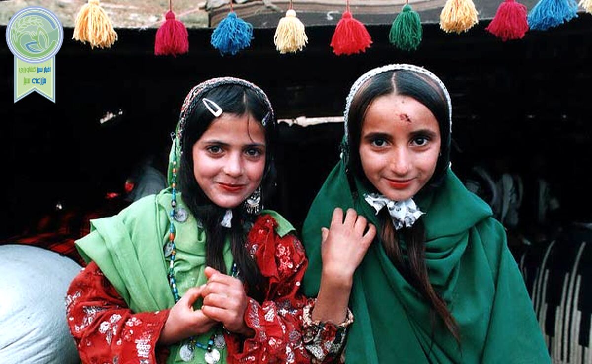 ترک تحصیل ۵۰ درصد دختران عشایر پس از دوره ابتدایی

